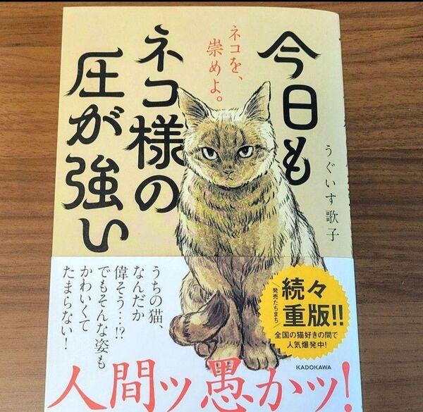 今日もネコ様の圧が強い うぐいす歌子/著