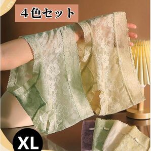 総レースショーツ パンティー セクシー 可愛い ひびかない 4枚 XL
