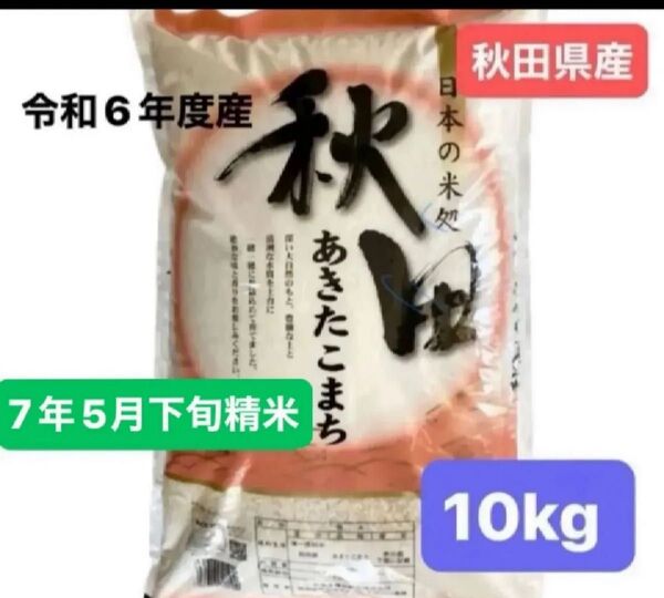 秋田県産 秋田こまち 白米 10キロ 単一原料米 令和6年度産 令和7年5月下旬精米 明日発送