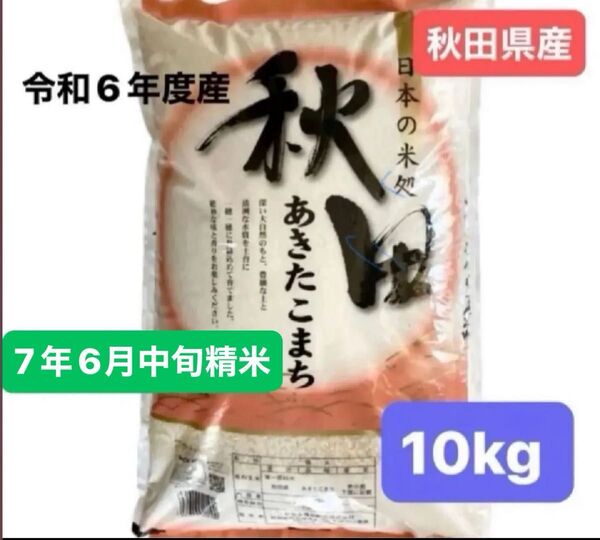 秋田県産 秋田こまち 白米 10キロ 単一原料米 令和6年度産 令和7年6月中旬精米