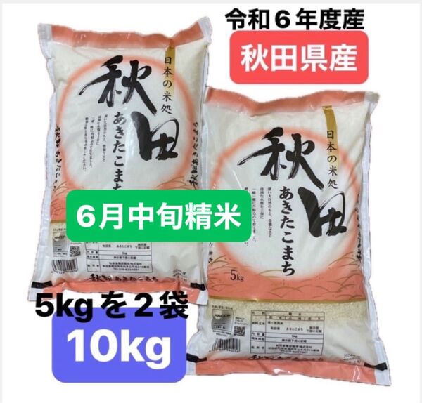 【人気商品】秋田県産 秋田あきたこまち 白米 10キロ (5キロ を2袋)令和6年度産 令和7年6月中旬精米 本日発送