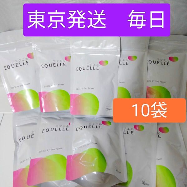 《新品未開封》大塚製薬 エクエル パウチ 120粒×10個