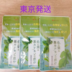 《東京発送》和漢の森 桑の葉&茶カテキンの恵み 30日分×3袋