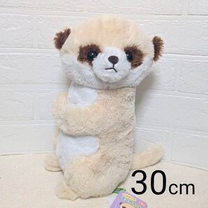 こっちむいて ミーアちゃん ぬいぐるみ 30cm