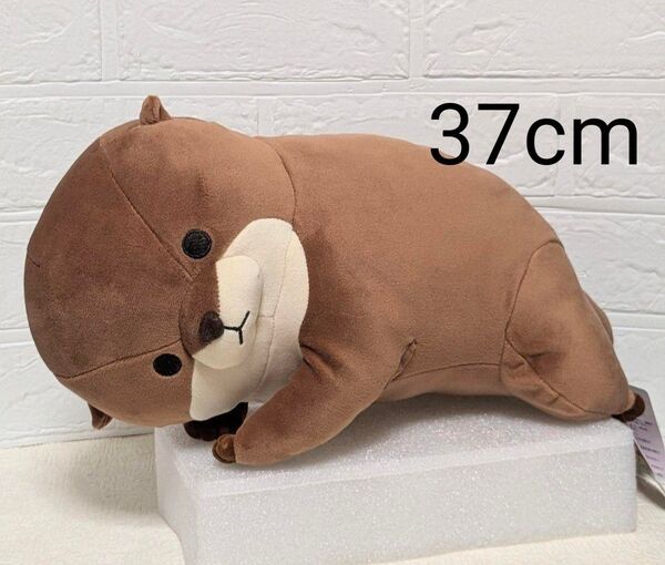 くったり カワウソ もちふわごろりん ぬいぐるみ 37cm
