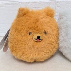 しっぽぶんぶん! ポメラニアン チャポメ