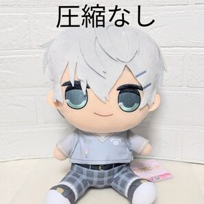カラフルピーチ おおきな BIG ぬいぐるみ ヒロ