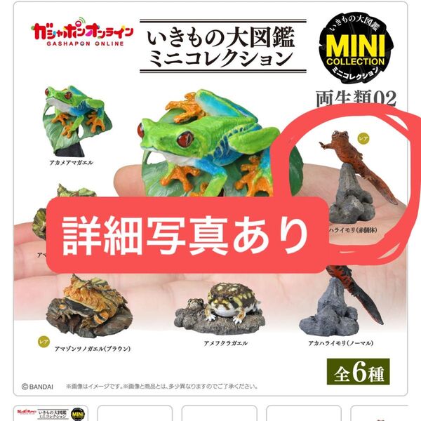 ガシャポン 両生類02 いきもの大図鑑ミニコレクション いきもの大図鑑 ミニコレクション フィギュア