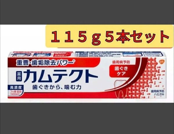 【115g5本セット】薬用カムテクト 医薬部外品 カムテクト 歯ぐきケア 歯磨き粉 ハミガキ粉