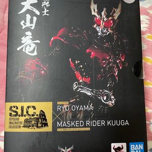 S I C 仮面ライダークウガ マイティフォーム