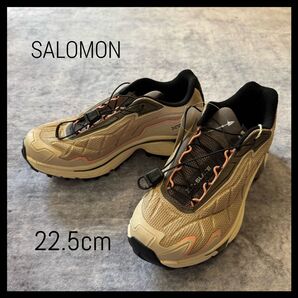 【希少・海外限定】 サロモン アドバンス SALOMON XT-SLATE 日本未発売 22.5cm スニーカー 女性用