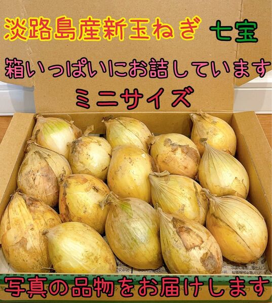 18 淡路島産新玉ねぎ七宝