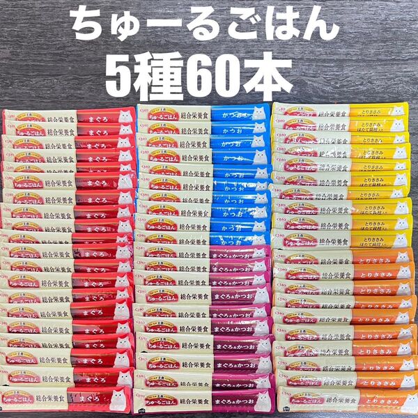 猫 いなば 国産品 ちゅーるごはん 総合栄養食 グレインフリー 5種類 14g×60本