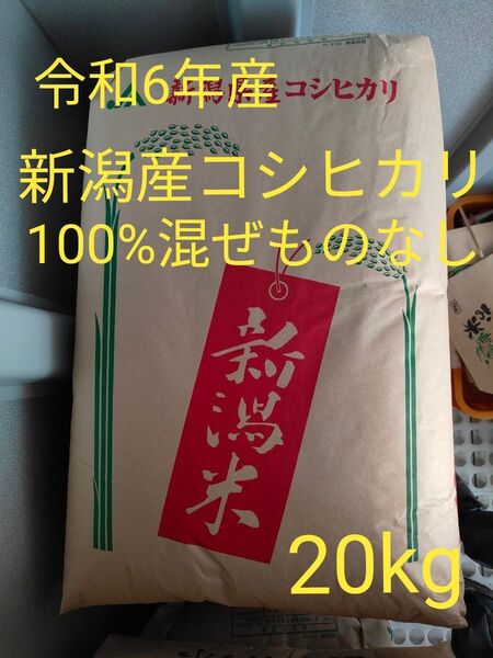 【令和6年産】新潟県産コシヒカリ100%ブレンドなし 20キロ (数量限定)