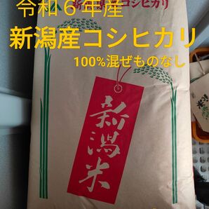 【令和6年産】新潟県産 純粋100%コシヒカリ 24キロ(農家直送)