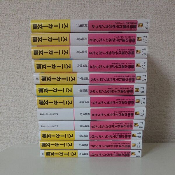 継母の連れ子が元カノだった 1-12巻 ライトノベル セット 紙城鏡介