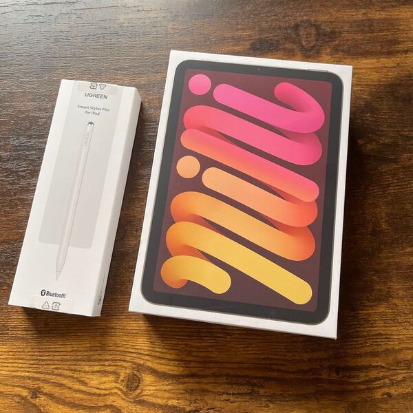 iPad mini 512GB wifi A17 pro 刻印消し痕あり
