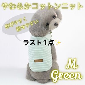グリーン Mサイズ 犬 猫 ボーダー服 伸びる ドッグウェア ペット用品 薄手