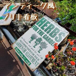 363ヴィンテージ風ブリキ看板 ハーブ 20×30cm アンティーク インテリア
