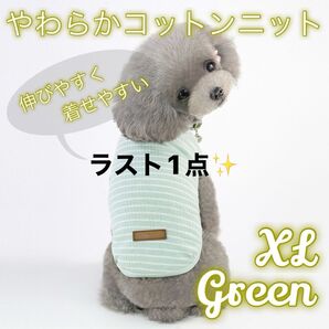 グリーン XLサイズ 犬 猫 ボーダー服 伸びる ドッグウェア ペット用品 薄手く
