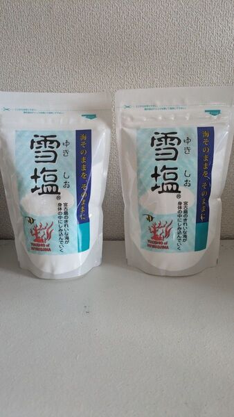雪塩 120グラム 2袋セット