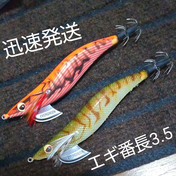 エギ番長3.5 エギング エバーグリーン エギ