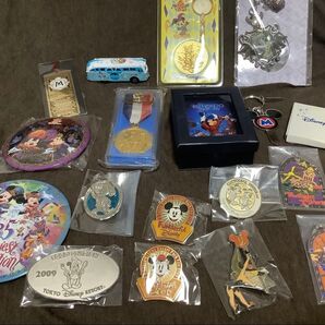 東京ディズニーリゾート グッズ まとめ売り 18点 ピンズ・メダル・キーホルダーなど