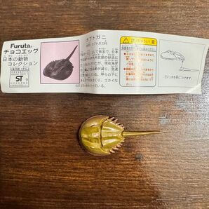 チョコエッグ 日本の動物コレクション カブトガニ