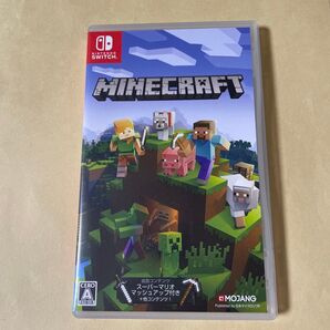 Minecraft Nintendo Switch