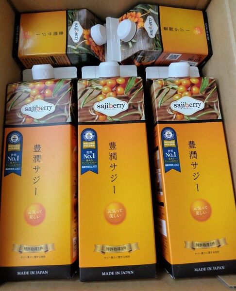 フィネス 豊潤サジー 1000ml3本 300ml2本