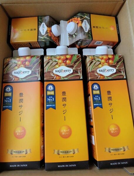 フィネス 豊潤サジー 1000ml3本 300ml2本