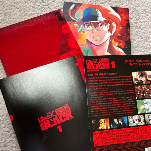はたらく細胞BLACK 1 (完全生産限定版) DVD