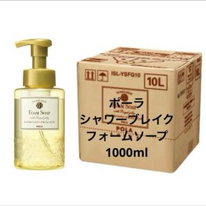 POLA シャワーブレイクプラス フォームソープ リフィル500mlx2
