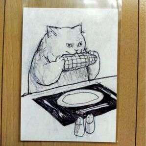 ポストカード Eat Corn Cat 黒山キャシーラム 猫 ねこ とうもろこし