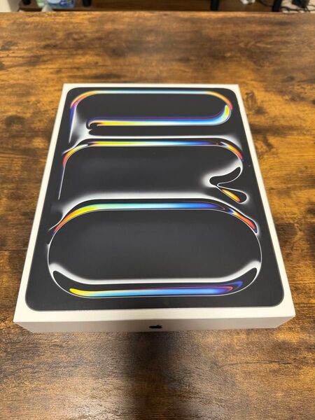 iPad Pro 13 M4 Wi-Fi cellular 256GB