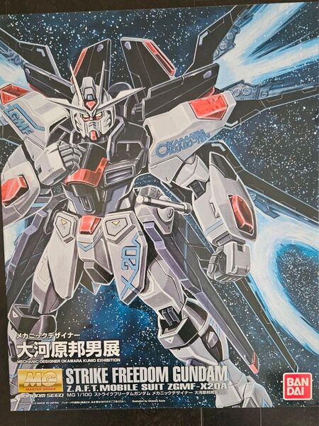 MG 1/100 ストライクフリーダムガンダム 大河原邦男Ver.