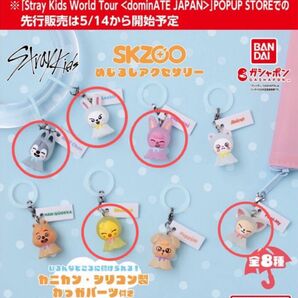 straykids めじるしアクセサリー 5点セット スキズ