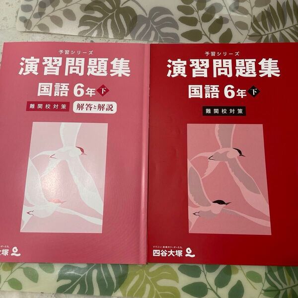【未使用】演習問題集 国語6年下 難関校対策 四谷大塚