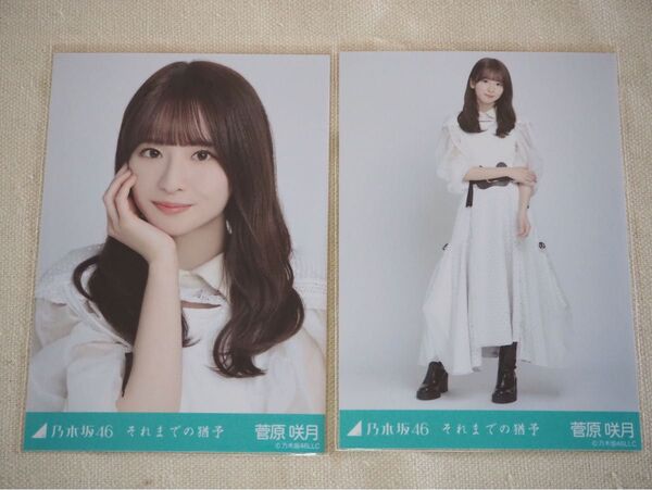 乃木坂46 それまでの猶予 菅原咲月 セミコンプ