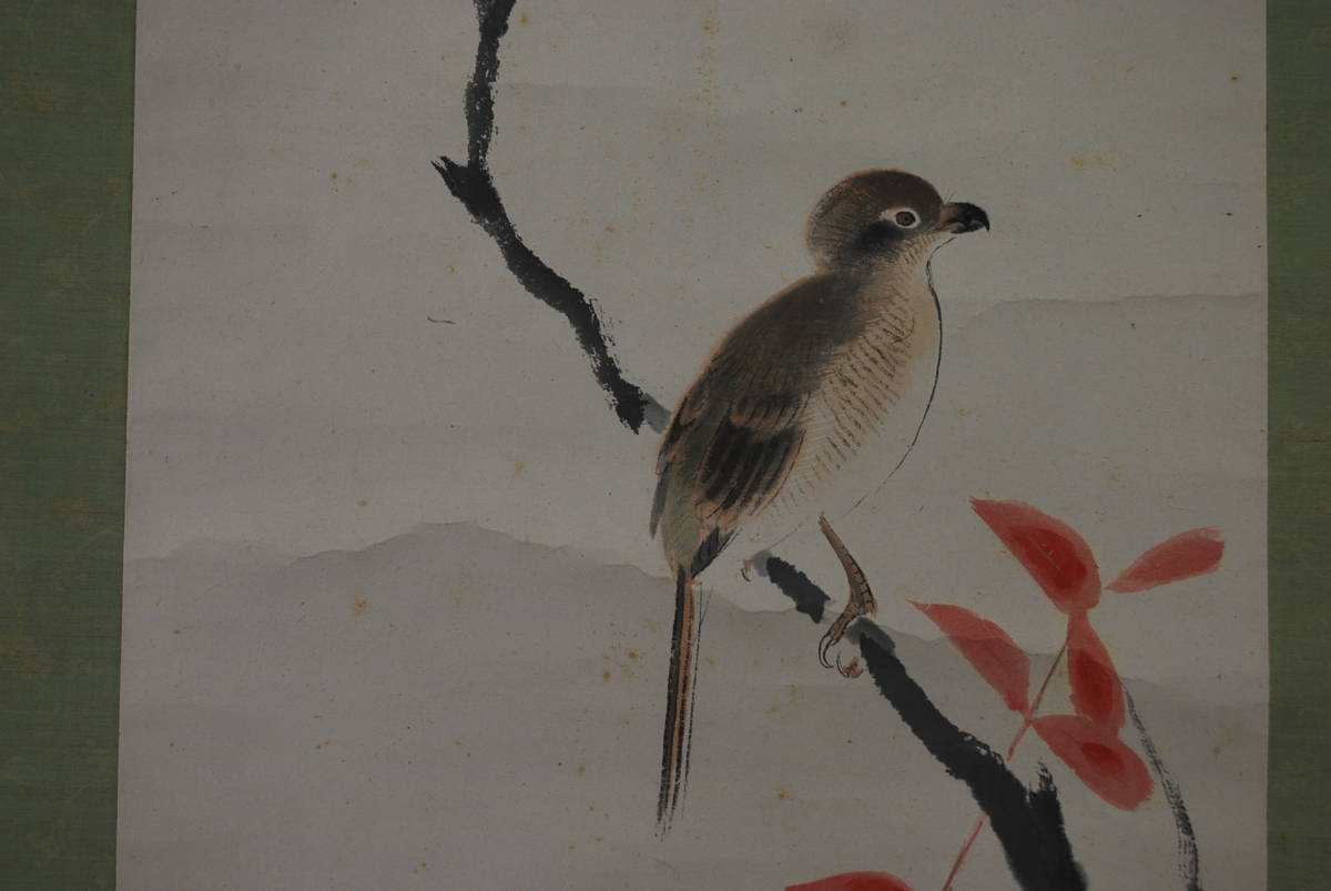 [Authentique] Yamada Koun/Feuilles d'érable et petits oiseaux/Feuilles d'érable et petits oiseaux/Parchemin suspendu ☆Bateau au trésor☆V-618 JM, Peinture, Peinture japonaise, Fleurs et oiseaux, Faune