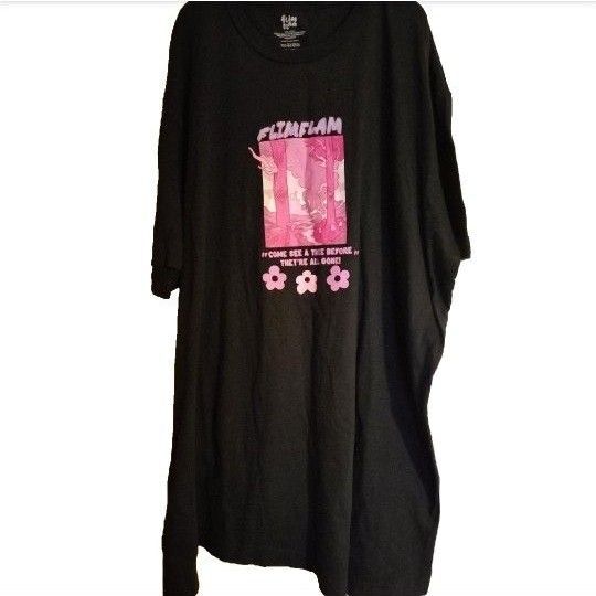 Tシャツ メンズ 2XL ロゴ ビンテージ風 古着 半袖 ゆったり