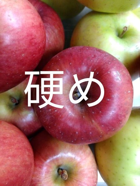 農薬不使用 弘前りんご 2種セット 4.8キロ梱包材込み 家庭用