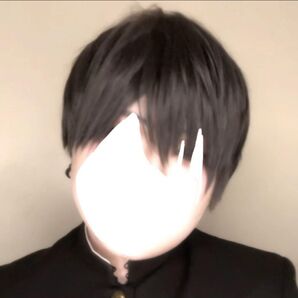 男装 黒 ショート カット セット済み 完成品 ウィッグ ウィッグ