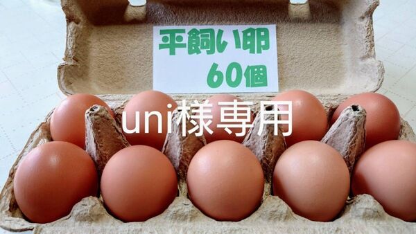 源さんの平飼い卵. M~2L60個10個入り6パック 朝採れ新鮮 養鶏家の鶏舎直送