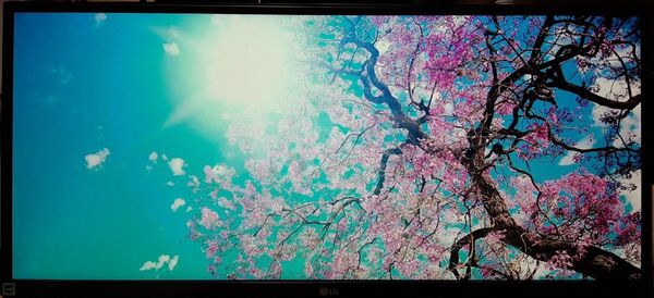 LG モニター ディスプレイ 29UM59-P 29インチ/21:9 ウルトラワイド(2560×1080)/IPS 非光沢