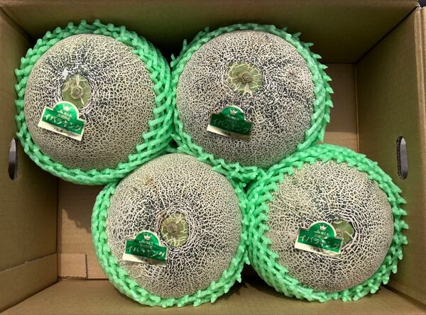 茨城県産 イバラキング 3L 2個 メロン