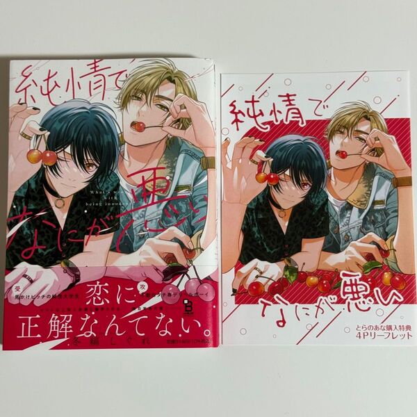 純情でなにが悪い とらのあな 描き下ろし入り4Pリーフレット 冬縞しぐれ 応援書店ペーパー