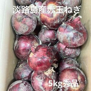 淡路島産赤玉ねぎ5kg秀品