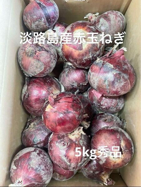 淡路島産赤玉ねぎ5kg秀品