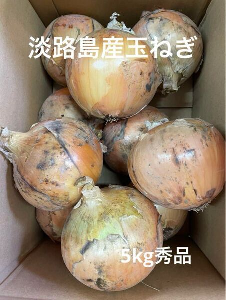 淡路島産玉ねぎ5kg秀品